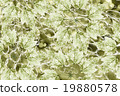 Grunge colorful background 19880578
