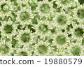 Grunge colorful background 19880579