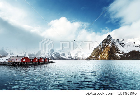 spring sunset - Reine, Lofoten islands, Norway 19880890