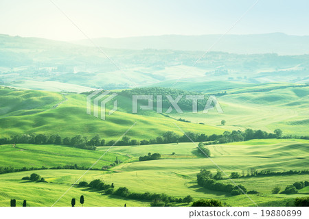 landscape in Tuscany, Italy landscape in Tuscany, Italy 19880899