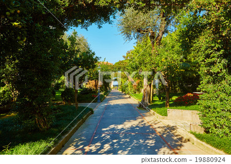 View of Green park in city View of Green park in city 19880924