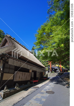 Scenery of Sagano 19881086