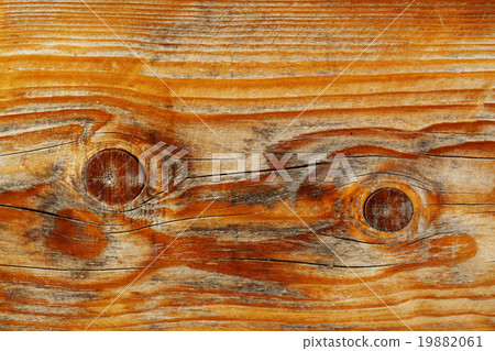 wood texture close up, warm colors 19882061