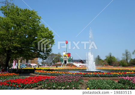 Tonami Tulip 3 19883515