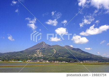 Paddy field and Bandai mountain 19883734