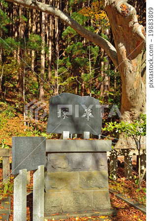 Walking in Hakodate: Kotobuku Hakodate Hachimangu Shrine 19883809