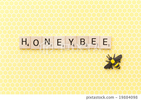 拼字遊戲（拼字遊戲）和玩具蜜蜂：HONEYBEE 19884098