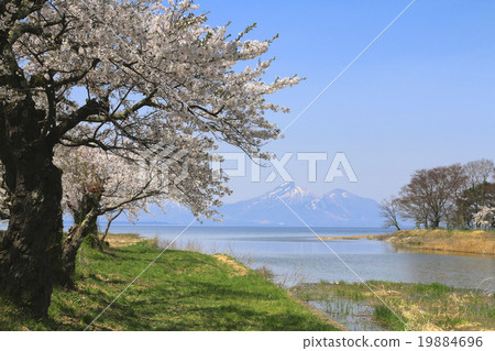 Bandai Mountain in Spring and Lake Inawashiro 19884696