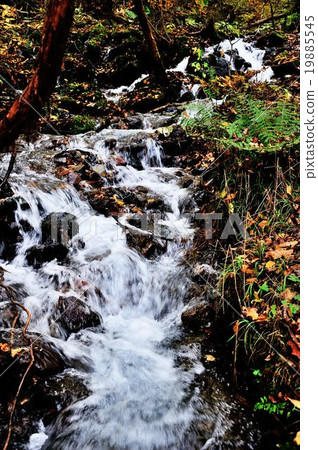 Kinshichu無盡的遠足線 19885545