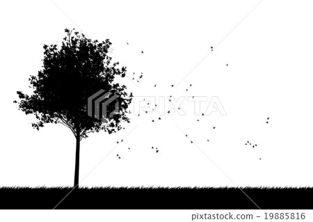 Leaves of maple leaping 19885816