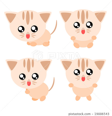 Cartoon cat illustration Cartoon cat illustration 19886543