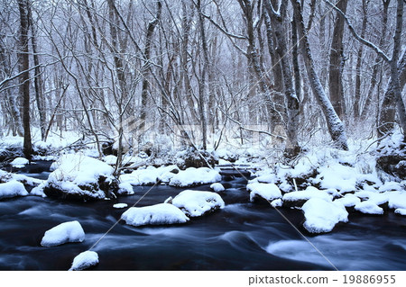 Oirase冬季苦難流的流 19886955