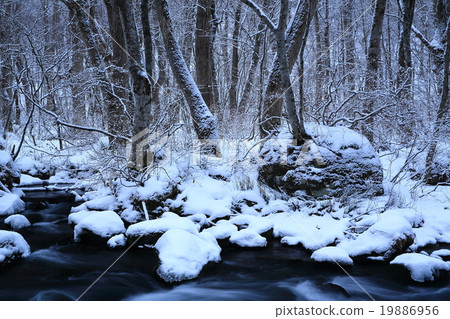 Oirase冬季苦難流的流 19886956