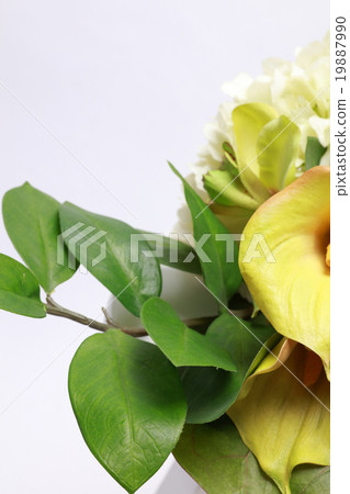 Color Lily and hydrangea 19887990