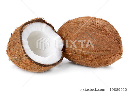 coconut 19889920