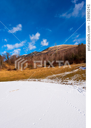 Alpine Frozen Pond - Monte Baldo Italy Alpine Frozen Pond - Monte Baldo Italy 19890241