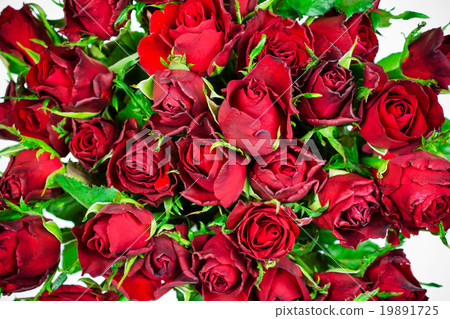 圖庫照片: red roses background. natural texture of love