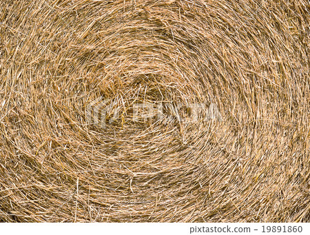 big straw roll in farm big straw roll in farm 19891860