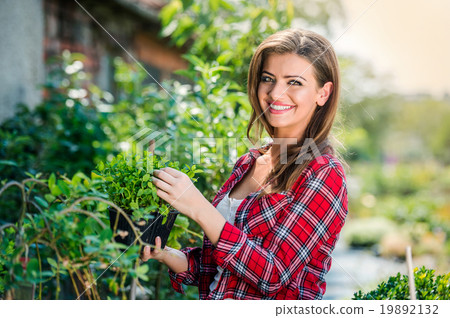 Beautiful young woman gardening Beautiful young woman gardening 19892132