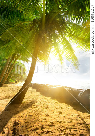 Sun over ocean Sun over ocean 19892217