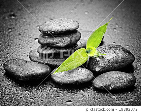 zen stones 19892372