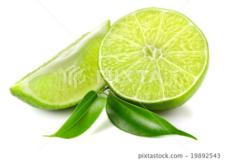 lime 19892543