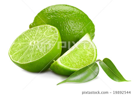 lime lime 19892544