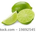 lime 19892545
