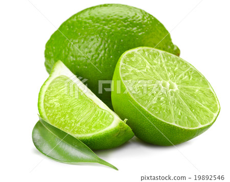lime 19892546