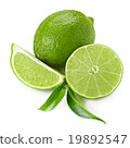 llime and leaves isolated on white 19892547