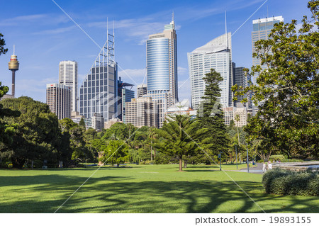 Skyline of Sydney with city central business Skyline of Sydney with city central business 19893155