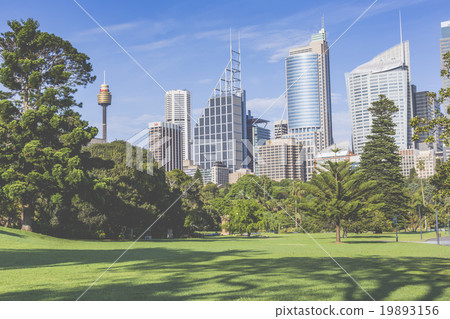 Skyline of Sydney with city central business Skyline of Sydney with city central business 19893156