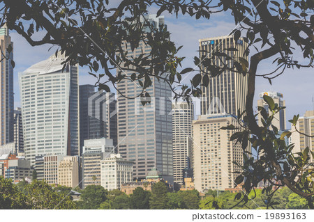 Skyline of Sydney with city central business Skyline of Sydney with city central business 19893163
