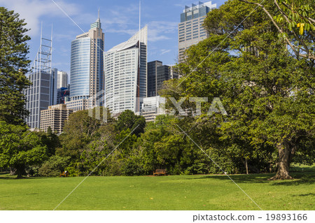 Skyline of Sydney with city central business Skyline of Sydney with city central business 19893166
