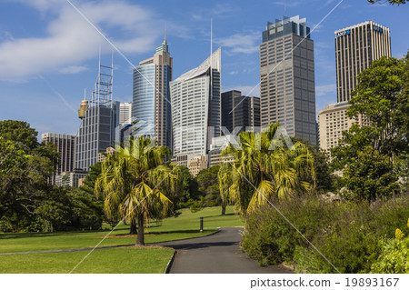 Skyline of Sydney with city central business 19893167