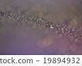 A drop 19894932