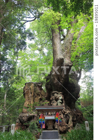 小宮神社Osuni 小宮神社Osuni 19895011