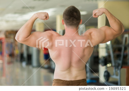 Muscular man's back. Muscular man's back. 19895321