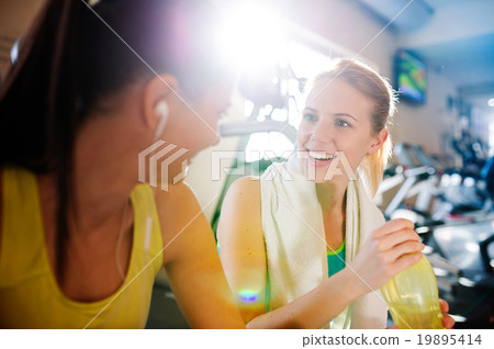 Beautiful women in gym Beautiful women in gym 19895414