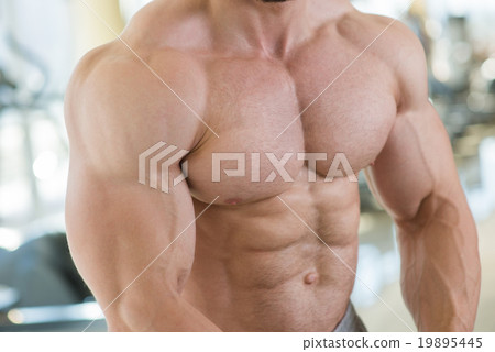 Muscular torso and arms. Muscular torso and arms. 19895445