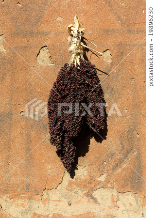 Tiebele. kassena village 19896230