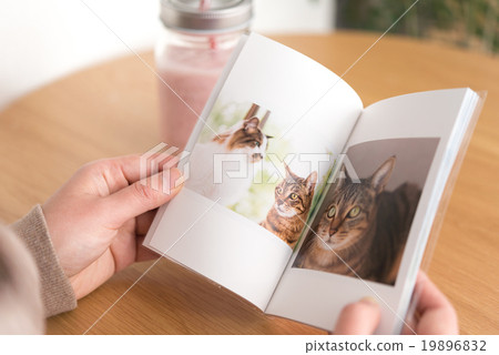 貓書 19896832