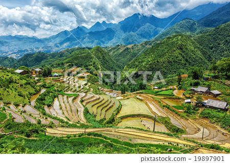 Rice field terraces. Near Sapa, Mui Ne 19897901