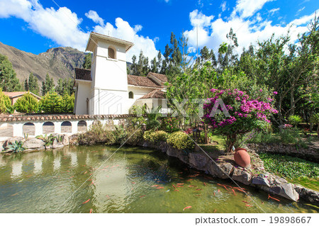 Garden landscape 19898667