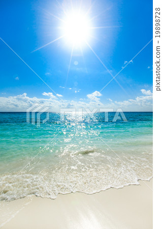 sea sea 19898728