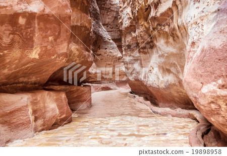 The narrow gorge leading to the Petra ancient city  19898958