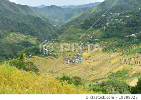 Rice terraces in the Cordillera mountains Rice terraces in the Cordillera mountains 19899328