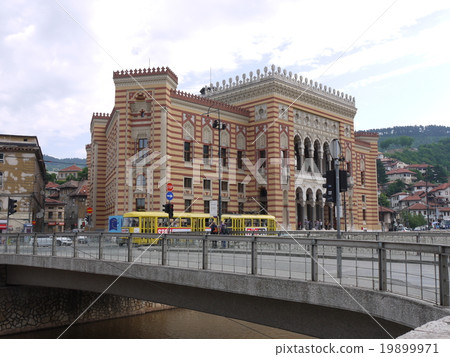 Bachicharusha 19899971