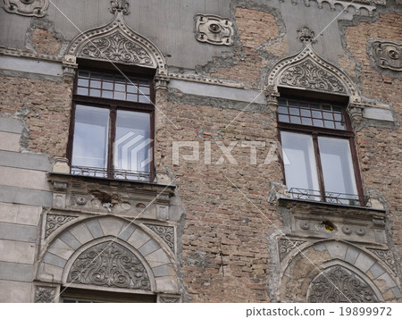 Bachicharusha 19899972