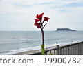 Planer 19900782